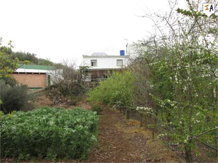 Spaanse Cortijo onder 50.000€ zwembad/land/Alcaudette/JAEN Voorlopig GERESERVEERD - Afbeelding 3
