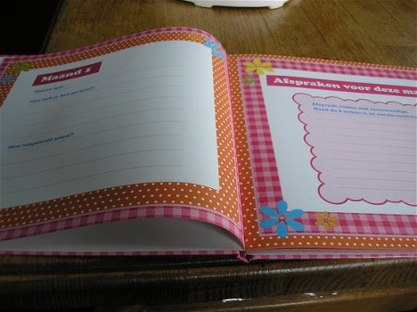 Pauline oud - mijn 9 maanden dagboek - nieuw - invulboek - 2