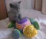 Exquise speelse Britse kortharige chinchilla-kittens - 0 - Thumbnail