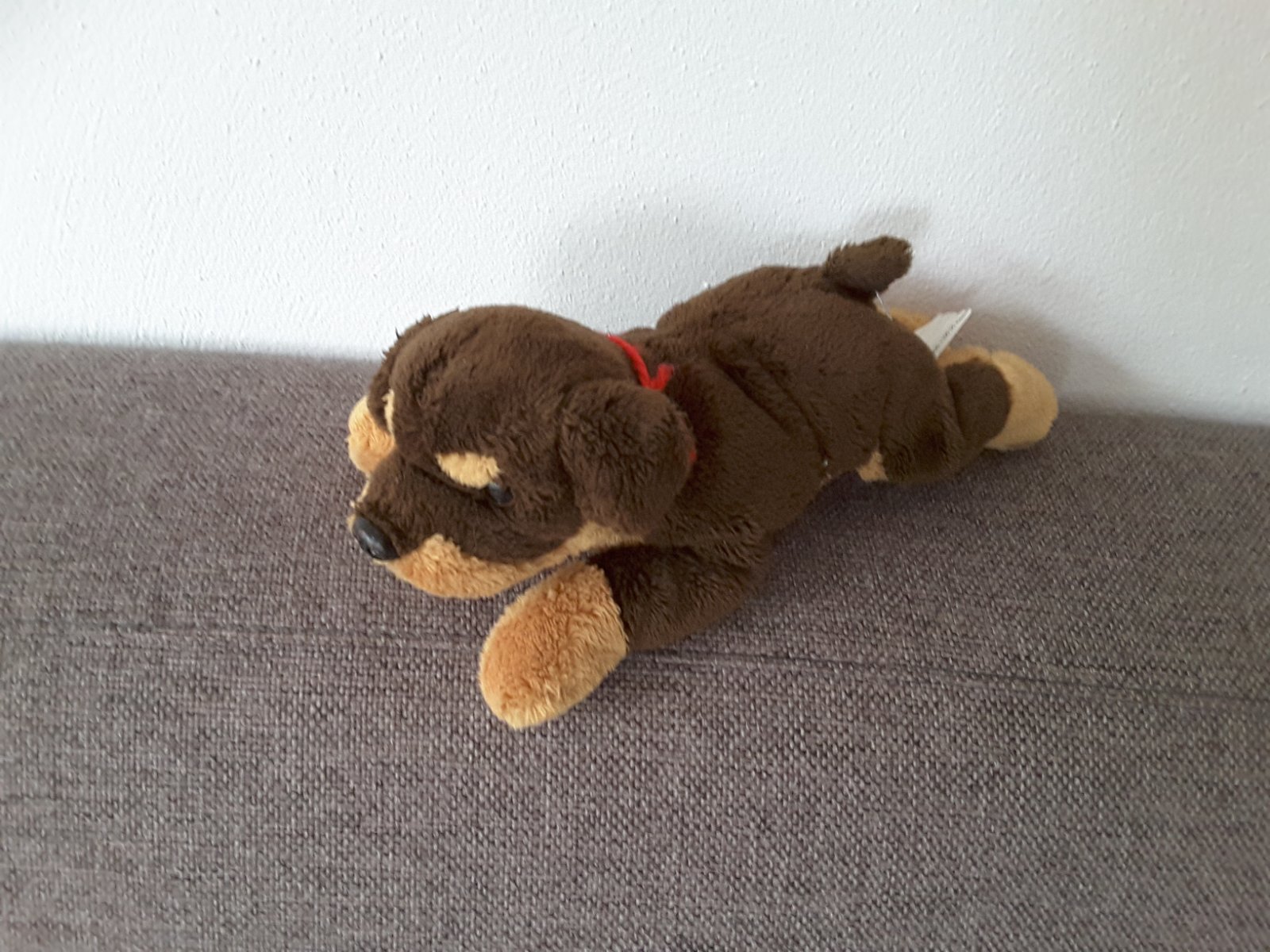 1436 Rottweiler knuffel Hema - nr. 1
