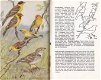Thieme's vogelboek - 3 - Thumbnail