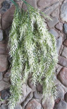 GUIRLANDE - WIT GROEN TAK - HANGING GARDEN - 0