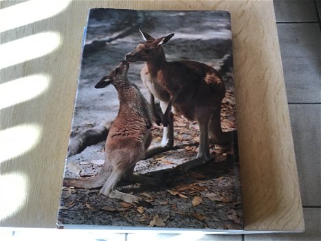 Australië ;Prachtig boek ,mooi en uitnemend natuur,met diepe kloofdalen en verticale rotswanden - 0