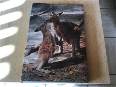 Australië ;Prachtig boek ,mooi en uitnemend natuur,met diepe kloofdalen en verticale rotswanden