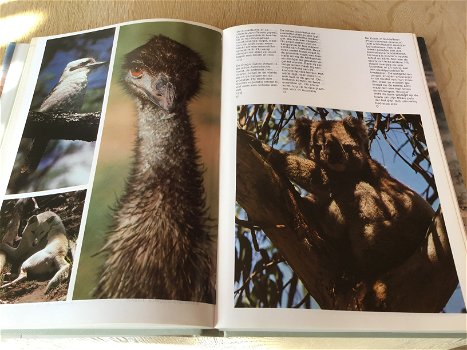 Australië ;Prachtig boek ,mooi en uitnemend natuur,met diepe kloofdalen en verticale rotswanden - 2