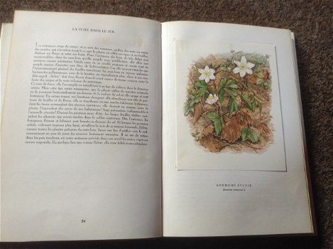 Prachtige franse boek van verschillende bloemsoorten ; Fleurs sur ton chemin - 2