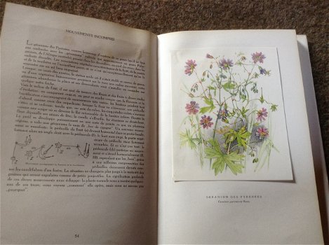 Prachtige franse boek van verschillende bloemsoorten ; Fleurs sur ton chemin - 4