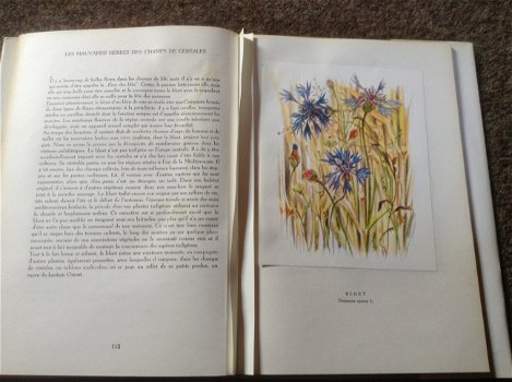 Prachtige franse boek van verschillende bloemsoorten ; Fleurs sur ton chemin - 5