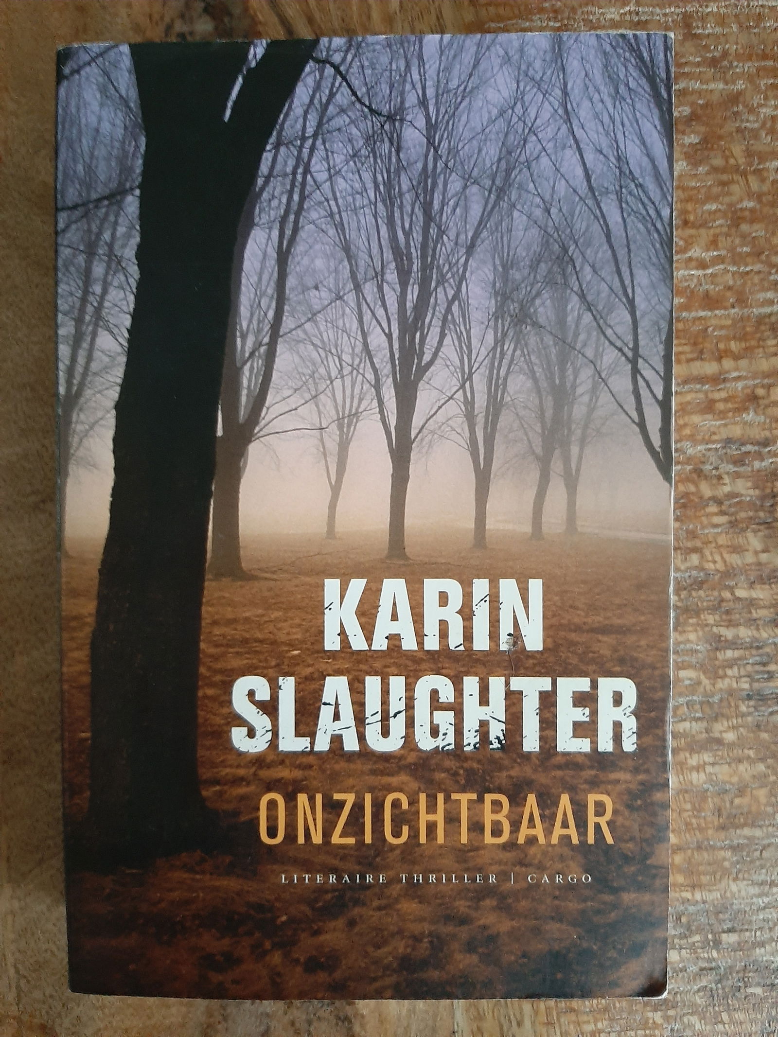 Onzichtbaar - Karin Slaughter - nr. 1