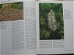 Botanische tuinen - 2 - Thumbnail