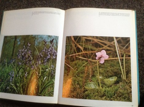 Boeken ; Natuur en vogelreservaat 6 boeken ; Prachtige foto,s en leeslektuur - 1