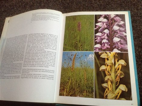 Boeken ; Natuur en vogelreservaat 6 boeken ; Prachtige foto,s en leeslektuur - 2