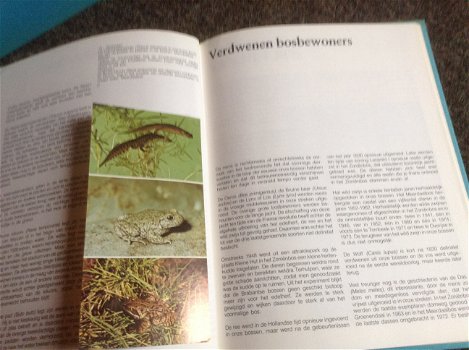 Boek NATUUR en het KLIMAAT en het plantenleed in heel België met grondige tekst - 2