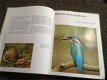 Boek NATUUR en het KLIMAAT en het plantenleed in heel België met grondige tekst - 3 - Thumbnail