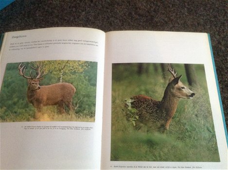 Boek NATUUR en het KLIMAAT en het plantenleed in heel België met grondige tekst - 6