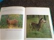 Boek NATUUR en het KLIMAAT en het plantenleed in heel België met grondige tekst - 6 - Thumbnail