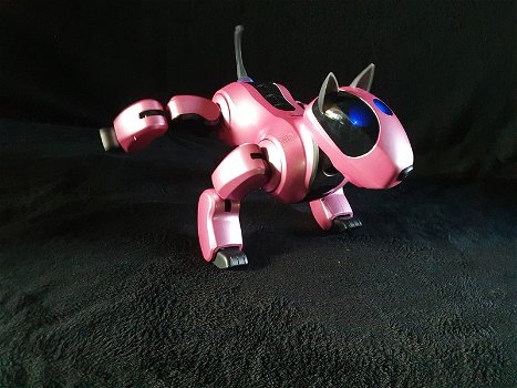 Genibo robot hond - 1