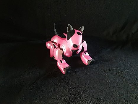 Genibo robot hond - 3