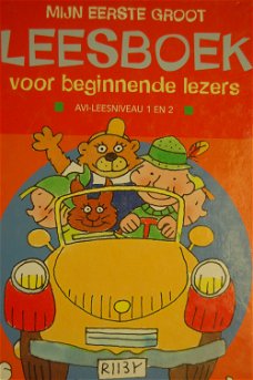 Mijn eerste groot Leesboek voor beginnende lezers