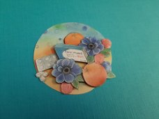 j096 Jeanine / beterschap / paracetamol