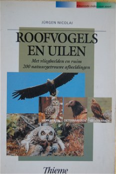 Roofvogels en uilen - 0