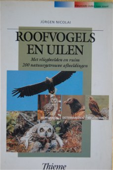 Roofvogels en uilen