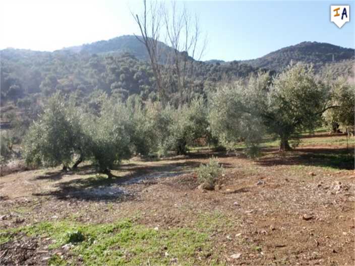 Verkocht Verkocht Verkocht - Afbeelding 2