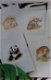 Borduurpatroon 6 kaarten met dieren - 0 - Thumbnail
