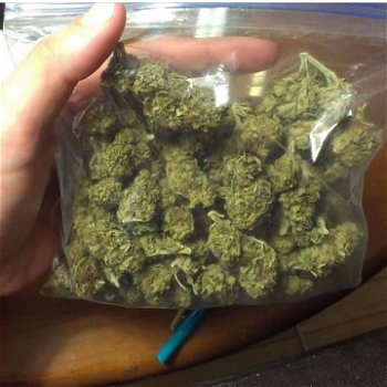 medische marihuana - 1