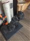 Schitterende Britse korthaar kittens - 0 - Thumbnail