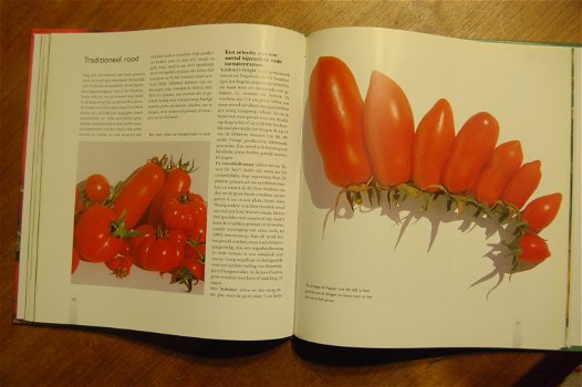 Tomaten op kleur, tomaten op smaak - 1