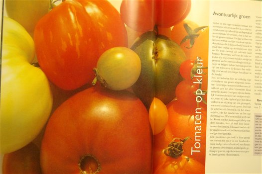 Tomaten op kleur, tomaten op smaak - 4
