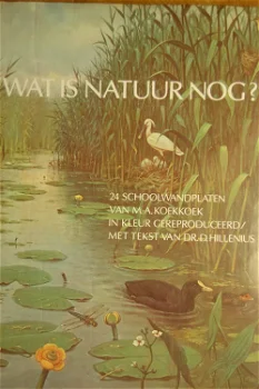 Wat is Natuur nog? - 0