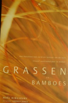 Grassen en bamboes - 0