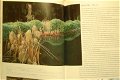 Grassen en bamboes - 6 - Thumbnail