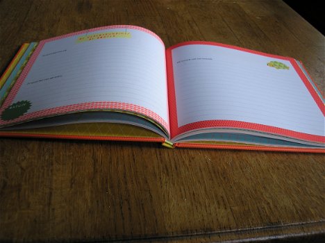 Pauline oud - mijn 9 maanden dagboek - nieuw - invulboek - 1