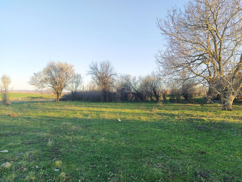 Perceel bouwgrond te koop, met een totale oppervlakte van 8065 m² - Afbeelding 5