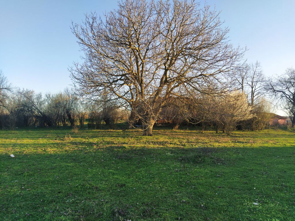 Perceel bouwgrond te koop, met een totale oppervlakte van 8065 m² - Afbeelding 6