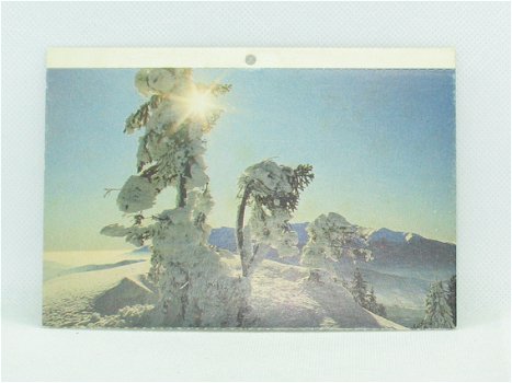 Postkaart - Sneeuwlandschap - 0