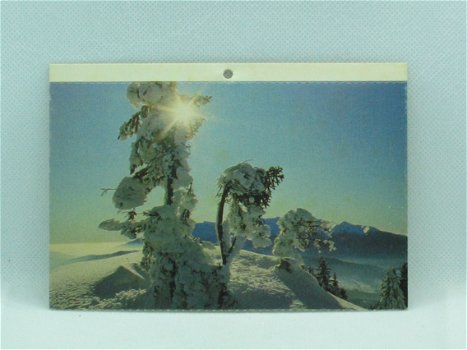 Postkaart - Sneeuwlandschap - 2