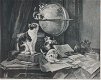 Henriette Ronner Knip (1821 - 1909) Katten in een mooi interieur Litho - 0 - Thumbnail