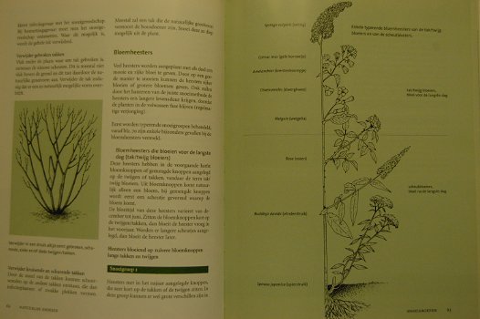 Handboek natuurlijk snoeien - 1