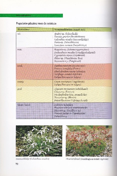 Moderne tuinontwerpen - Afbeelding 5