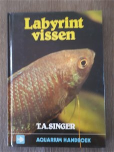 T.A Singer - Labyrint Vissen