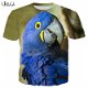 Drop Shipping Fashion Animal Macaw T Shirt Men - 0 - Thumbnail