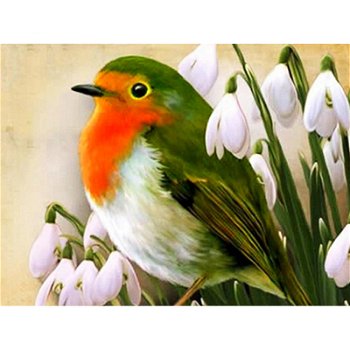 5D Diamond Painting Bird Diamond Mosaic Animal Full - 0