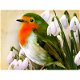 5D Diamond Painting Bird Diamond Mosaic Animal Full - 0 - Thumbnail