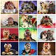 HUACAN Diamond Painting Dog Animal Diamond Mosaic 5D - 0 - Thumbnail