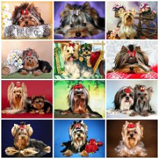 HUACAN Diamond Painting Dog Animal Diamond Mosaic 5D