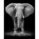 NEW Hot Sale Diamond Painting Elephant Full Square/Round - 0 - Thumbnail